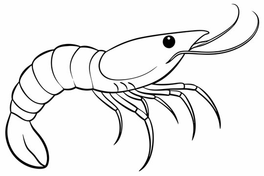 recommend clip art: shrimp line art vector , shrimp icon vector, Sea lobster	
                    