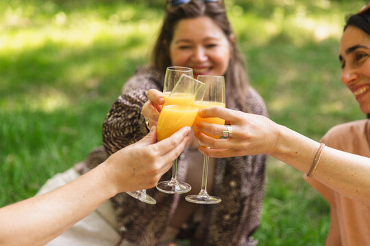 Friends Toasting with Orange Juice at a Summer Picnic in the Park

