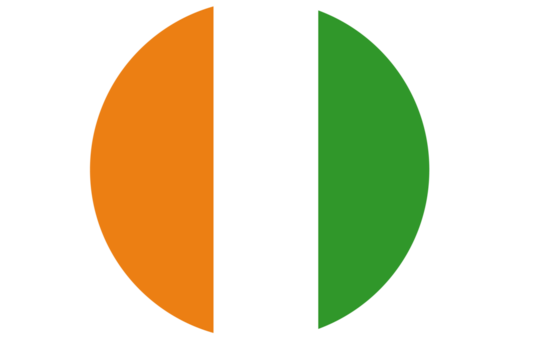 Ivory Coast flag button
 
