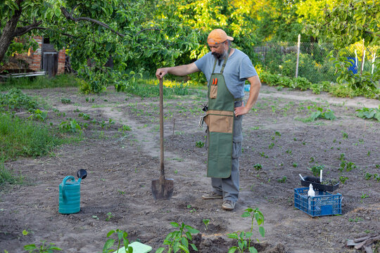man standing in the garden