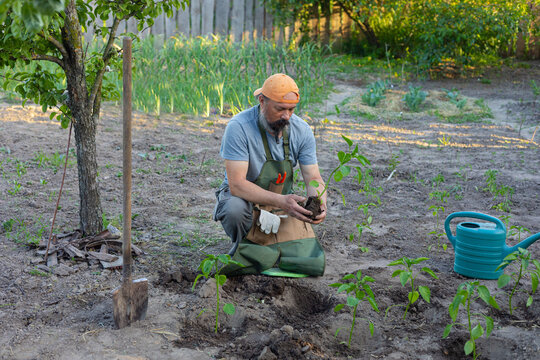 farmer in the garden with a seedling in his hand