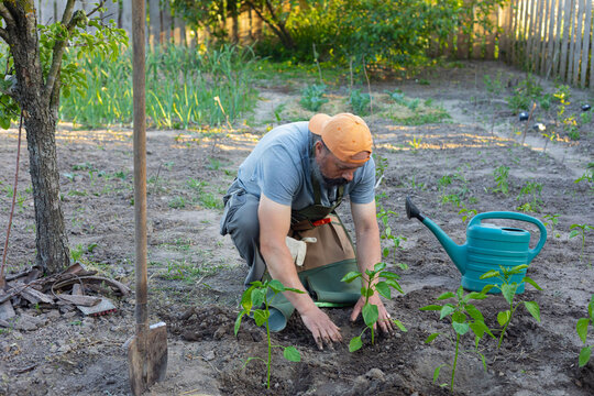 man working in the garden