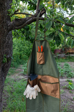 garden apron on a tree branch