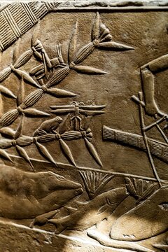 Ancient Egyptian hieroglyphics on stone wall, cultural heritage