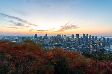 Naklejka premium Montreal sunrise from Mont Royal Kondiaronk Belvedere with colorful leaves. Panoramic skyline view of downtown Montreal from top view at sunrise in Canada