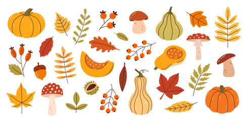 Autumn vector doodle botanical set of leaves, mushrooms, pumpkins isolated on white background