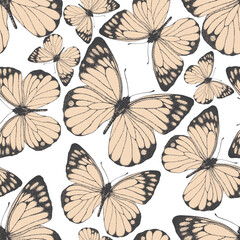 Seamless pattern of beige butterfly. Hand drawn illustration vector. Painted butterflies elements on white background. Animal motif abstract. For fabric, textile, design, banner, wrapping 