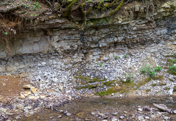 nature park ,spring awakening in nature and a walk through the forest