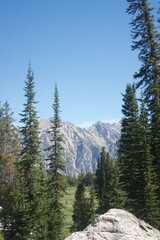 Grand Teton National Park; This is a view on the Grand Teton Trail with mountains in the center and trees on either side of the mountain in the forefront of the photo.