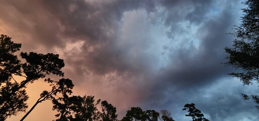 Fototapeta premium All things nature