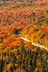 Obraz premium Multicolored trees during the Indian summer in Mont Tremblant, Quebec, Canada