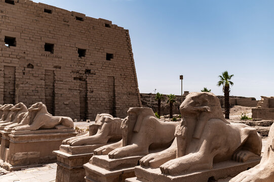 Ram headed sphinxes at Karnak Temple, Travelling Egypt
