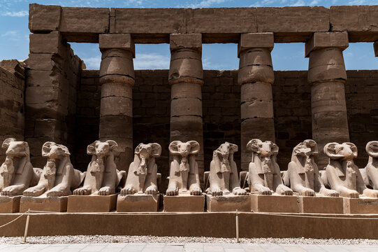 Ram headed sphinxes at Karnak Temple, Travelling Egypt