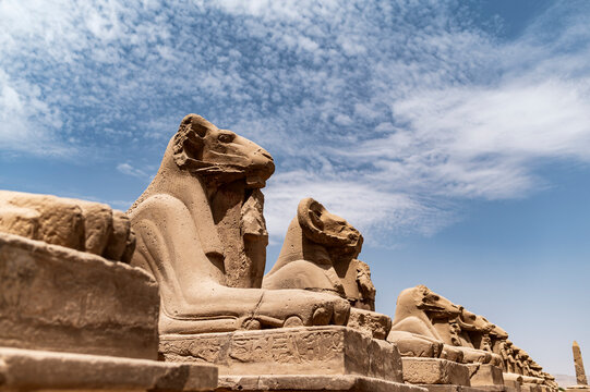 Ram headed sphinxes at Karnak Temple, Travelling Egypt
