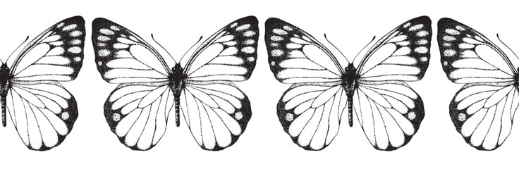 Seamless border butterfly illustration. Black and white. Isolated vector background. Hand drawn draw butterflies. Animal motif. Decor, decoration, cards, posters, design, Greeting, fabric, textile