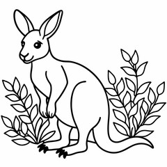 Fototapeta premium wallaby in plants line art vector