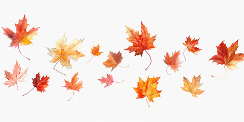 a background of maple leaves on a white background