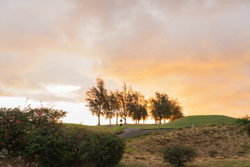 Hawaii: The Aloha State
Experience the breathtaking beauty and vibrant culture of Hawaii, from its...