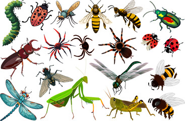 Collection of insects on a transparent background.Crawling and flying insects on a transparent background in a vector set.