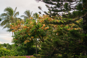 Hawaii: The Aloha State
Experience the breathtaking beauty and vibrant culture of Hawaii, from its stunning beaches and lush landscapes to its rich traditions and welcoming spirit