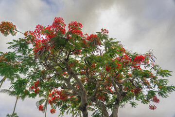 Hawaii: The Aloha State
Experience the breathtaking beauty and vibrant culture of Hawaii, from its stunning beaches and lush landscapes to its rich traditions and welcoming spirit
