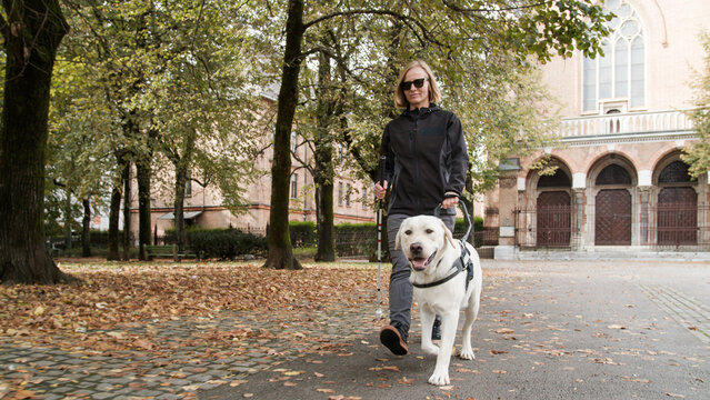 Blind woman walking in city park with a guide dog assistance, on a windy autumn day. Visually impaired people and active lifestyles concept.