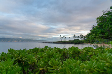 Hawaii: The Aloha State
Experience the breathtaking beauty and vibrant culture of Hawaii, from its stunning beaches and lush landscapes to its rich traditions and welcoming spirit.