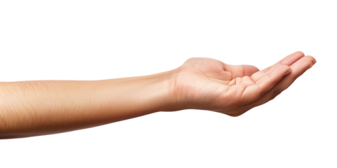A man's hand outstretched, isolated from a transparent white background