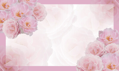 beautiful two pink rose flowers bouquet on pink rectangular frame, blur roses background, template, nature, name card, copy space