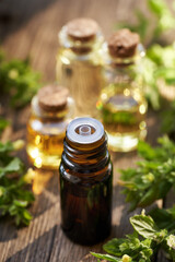 Aromatherapy essential oil in a brown dropper bottle with fresh blooming melissa plant