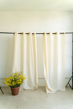 curtains and flowers 