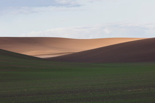Field of tilled farmland and rolling hills at dusk