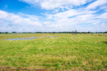 Green agriculture fields and meadows at the German countryside around Osterwald, Lower Saxony, Germany