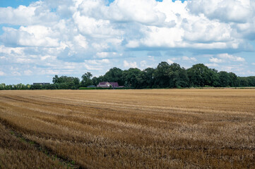 Obraz premium Golden harvested wheat fields at the German countryside around Herzlake, Lower Saxony, Germany