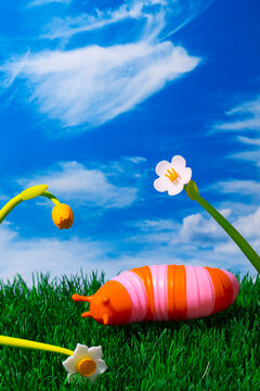 Spring Slug