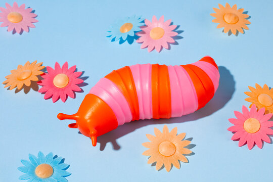Spring Slug on Blue