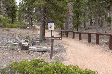 The Yovimpa Point hiking trail in Bryce Canyon National Park, Utah. You can access this from the Rainbow Point Parking Lot at the end of the Southern Scenic Drive.