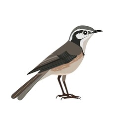 Obraz premium Nightingale Scandinavian Minimalism animal fashion cartoon isolated whitebackground 16:9