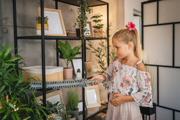 Young girl do chores clean and dust shelves with microfiber duster