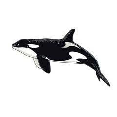 Fototapeta premium Orcas Scandinavian Minimalism animal fashion cartoon isolated whitebackground 16:9