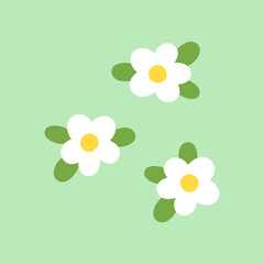 Vector white flower illustration.