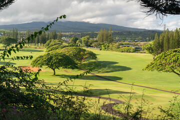 Hawaii: The Aloha State
Experience the breathtaking beauty and vibrant culture of Hawaii, from its stunning beaches and lush landscapes to its rich traditions and welcoming spirit