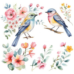 Gentle flowers and birds. Watercolor set.