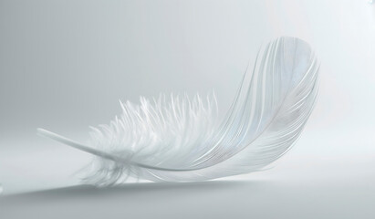 Obraz premium white feather close-up on a light background, the concept of advertising objects, with the need to emphasize softness and tenderness,copy space