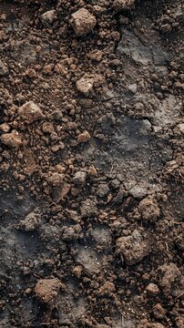 Problematic soil conditions. Compacted, dense, and poorly drained soil texture concept
