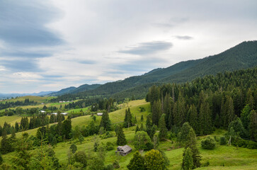 Rolling hills covered in lush greenery, interspersed with dense forests of coniferous trees. The...