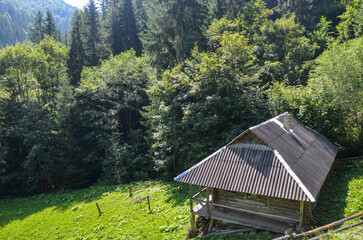 The scene captures a rustic wooden house nestled amidst lush greenery in a serene, rural setting....