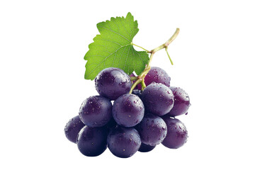 Ripe, juicy purple grape cluster isolated on white background