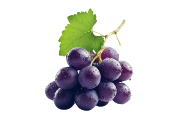 Ripe, juicy purple grape cluster isolated on white background