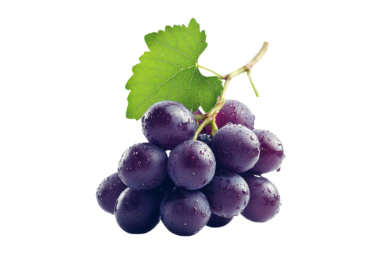 Ripe, juicy purple grape cluster isolated on white background